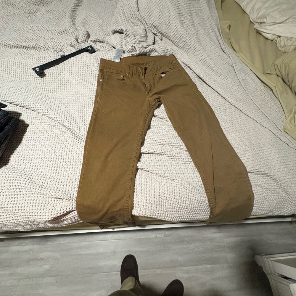Brown Casual Pants